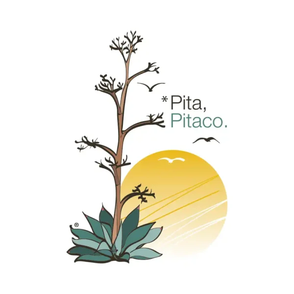 *Pita Pitaco - Camiseta - Imagen 4