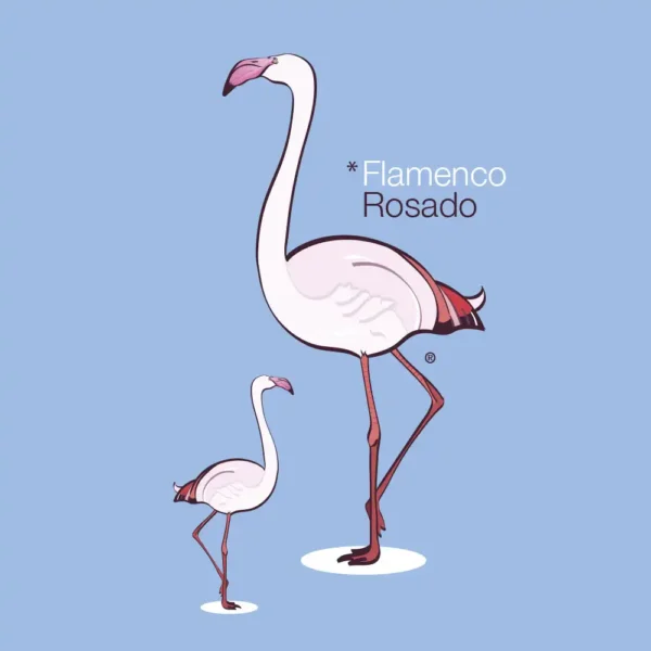 *Flamenco Rosado - Camiseta - Imagen 4