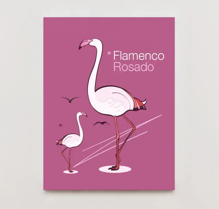 _Flamenco-Rosado---Ilustración