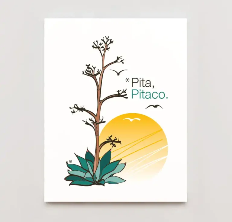_Pita,-Pitaco---Ilustración