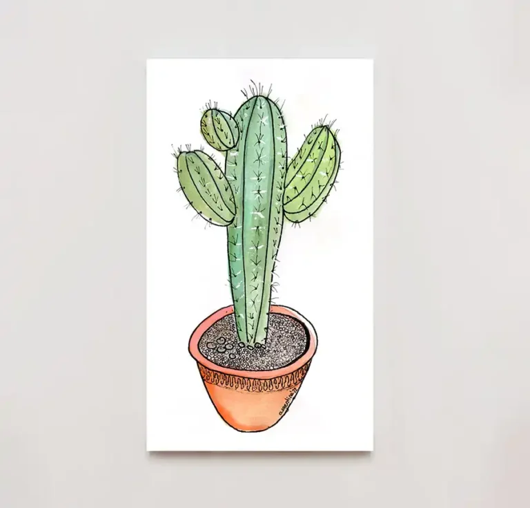 ilustración-Cactus copia